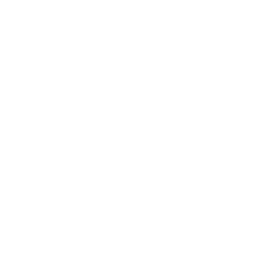trusted Cloud Icon weiß